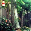 birdhouse.2